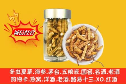 太白县回收散虫草